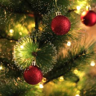 Christmas tree Android wallpaper