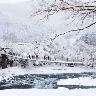 Winter season Japan wallpaper