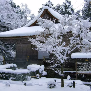 Winter season Japan wallpaper