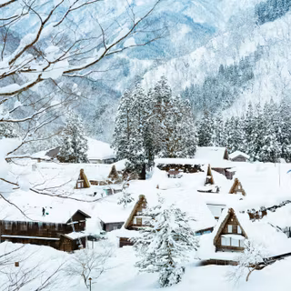 Winter season Japan wallpaper