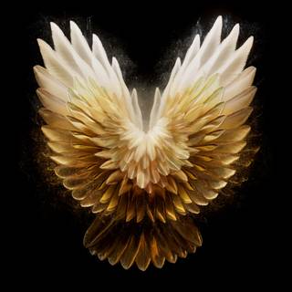 Golden angel wallpaper