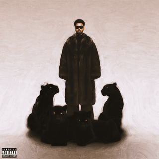 Navaan Sandhu wallpaper