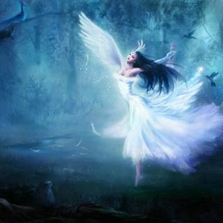 Fairy laptop wallpaper