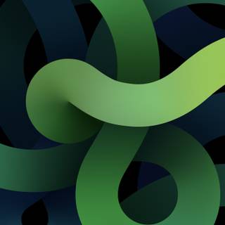 2560x1440 green wallpaper