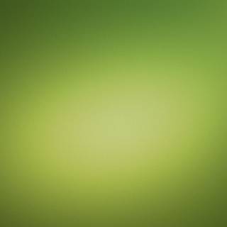 2560x1440 green wallpaper