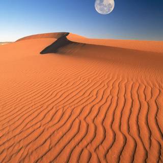 Full moon over red dunes wallpaper
