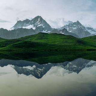 2560x1440 green wallpaper