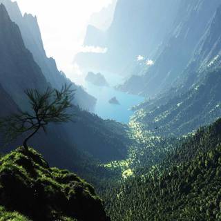 2560x1440 green wallpaper