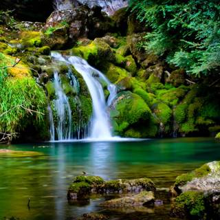 2560x1440 green wallpaper