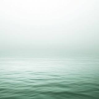 2560x1440 green wallpaper