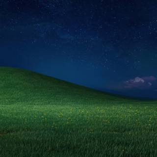 2560x1440 green wallpaper