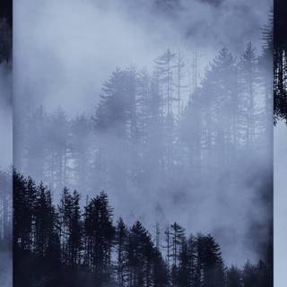 2560x1440 desktop wallpaper