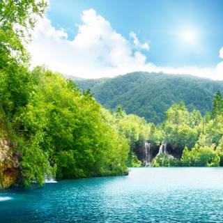 2560x1440 green wallpaper