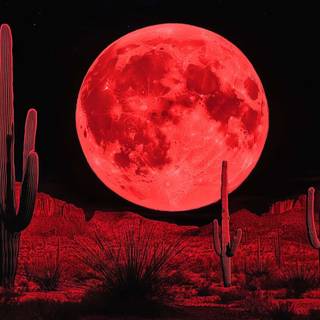 Red moon desktop wallpaper
