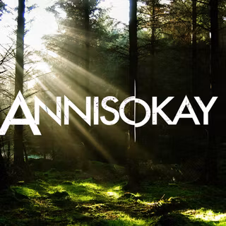 Annisokay wallpaper