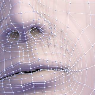 Looksmaxxing wallpaper