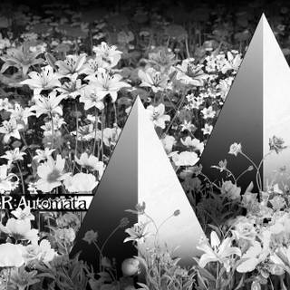 Lunar Tear wallpaper