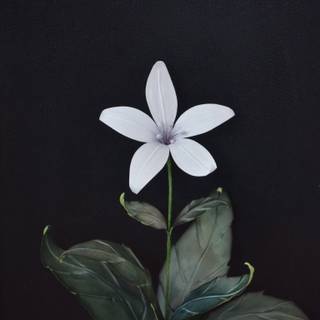 Lunar Tear wallpaper