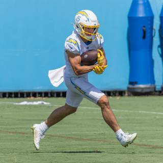 Ladd McConkey wallpaper