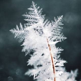 Inspirational winter wallpaper
