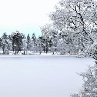 Cute winter scene wallpaper