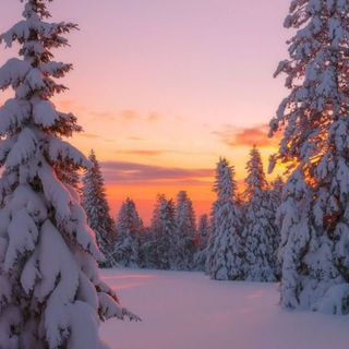 Cute winter scene wallpaper