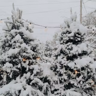 Christmas snow phone wallpaper