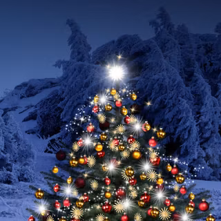 Christmas snow phone wallpaper