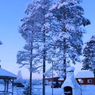 Christmas snow phone wallpaper