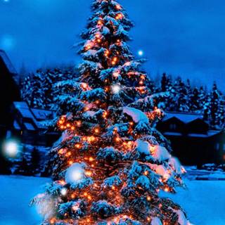 Christmas snow phone wallpaper