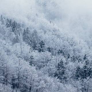 Christmas snow iPhone wallpaper