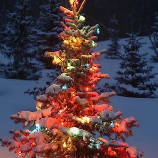 Christmas snow iPhone wallpaper