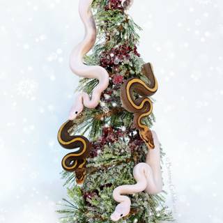 Christmas snack wallpaper