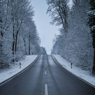 Long winter road wallpaper