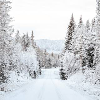 Long winter road wallpaper