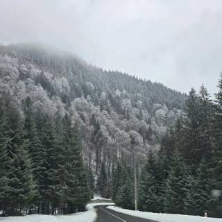 Long winter road wallpaper