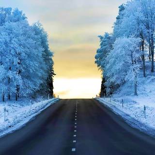 Long winter road wallpaper