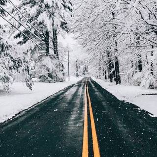 Long winter road wallpaper