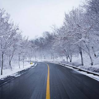 Long winter road wallpaper