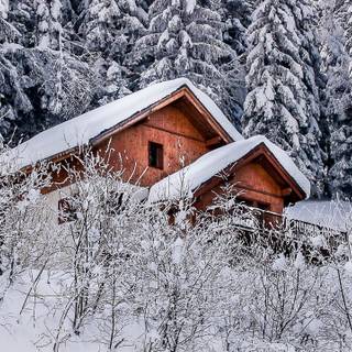 Winter forest 2k wallpaper