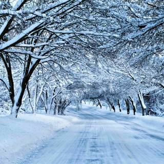 Long winter road wallpaper