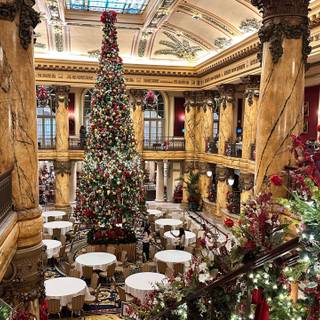 Christmas restaurant wallpaper