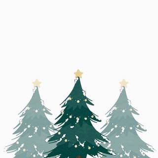 Christmas plant wallpaper