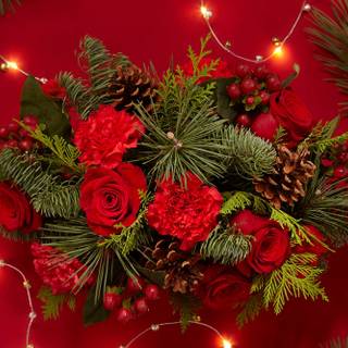 Christmas plant wallpaper