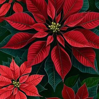 Christmas plant wallpaper