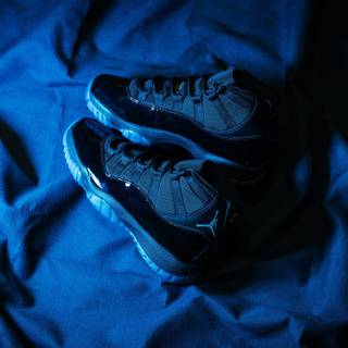 Air Jordan 11 Gamma wallpaper
