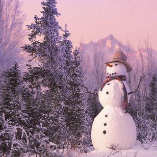 Purple snowman computer wallpaper