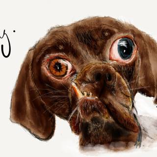 Ugly vs cute wallpaper