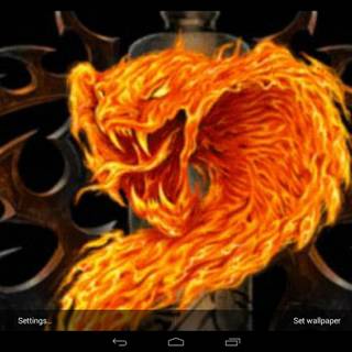 Snakes on fire wallpaper