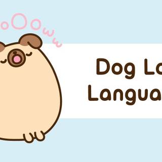 Pusheen pug wallpaper